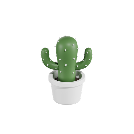 Planta suculenta  3D Icon