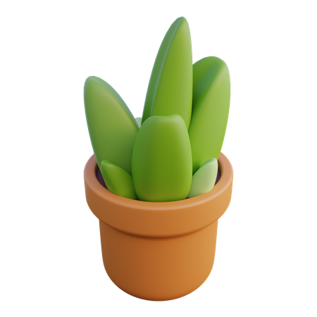 Planta vasta  3D Icon