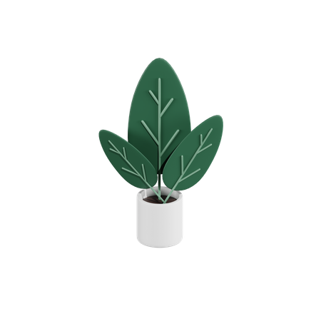 Planta verde  3D Icon