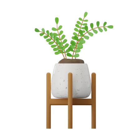 Planta zamioculcas  3D Icon
