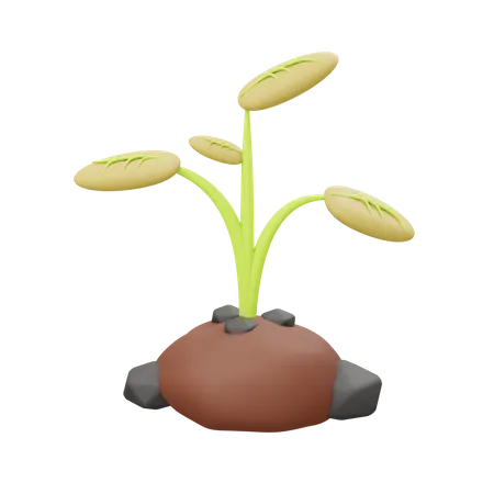 Plantação  3D Illustration