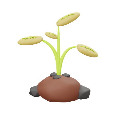 Plantación  3D Illustration