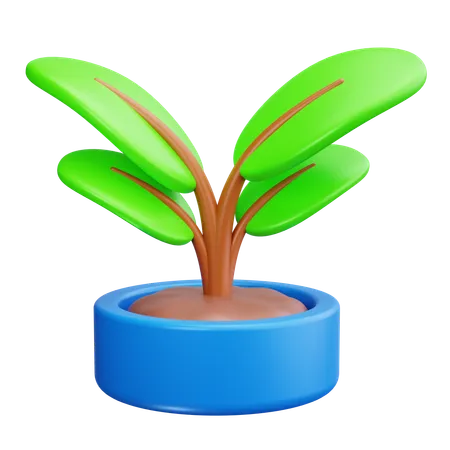 Plantación de árboles  3D Icon