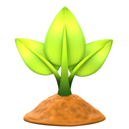 Plantación de árboles  3D Icon