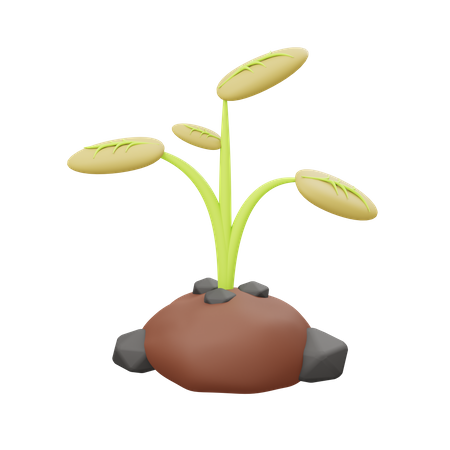 Plantage  3D Illustration