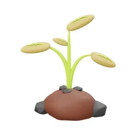 Plantage  3D Illustration