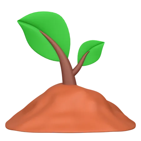 Plantando  3D Icon
