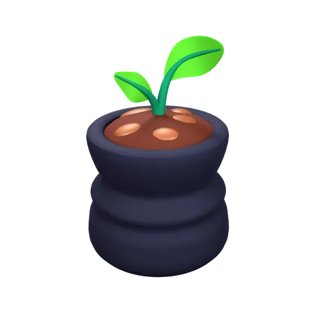 Plantando  3D Icon