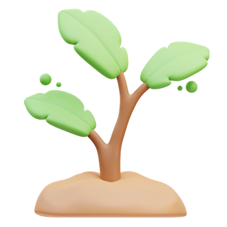 Plantar  3D Icon