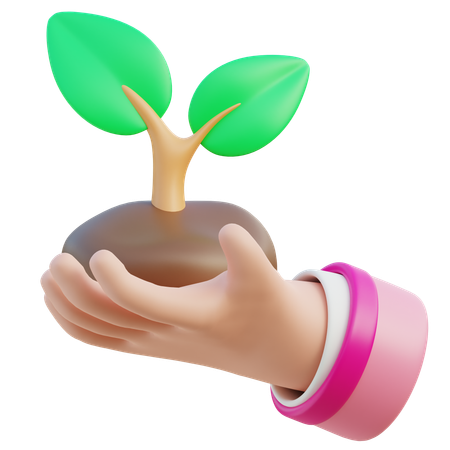 Planta un árbol  3D Icon