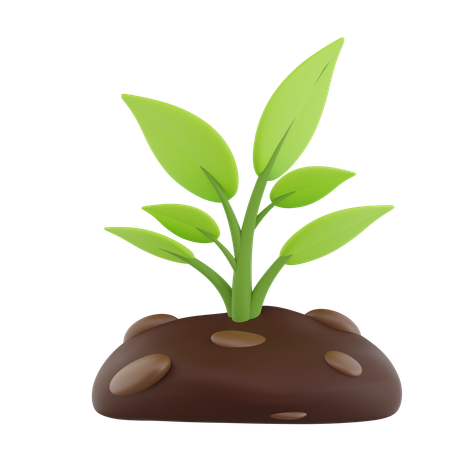 Plantas  3D Icon