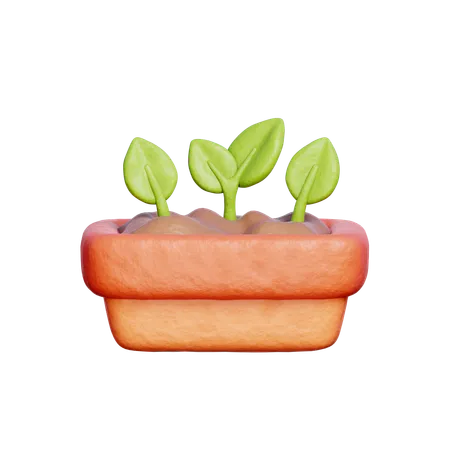 Plantas de jardin  3D Icon