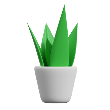 Plantas decorativas  3D Icon