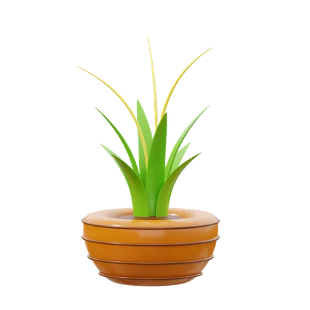 Plantas de dragón  3D Icon