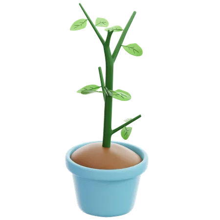 Plantas en macetas  3D Icon