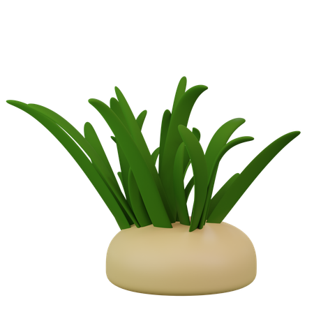 Plantas Marinhas  3D Icon