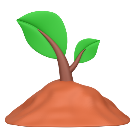 Plantation  3D Icon