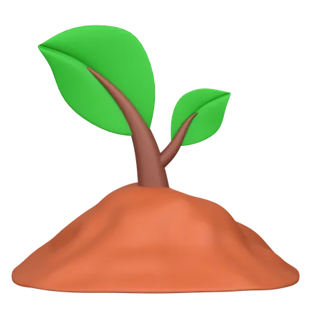 Plantation  3D Icon