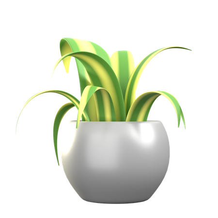 Plante araignée  3D Icon