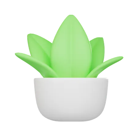 Plante au sol  3D Icon