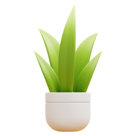 Plante au sol  3D Icon