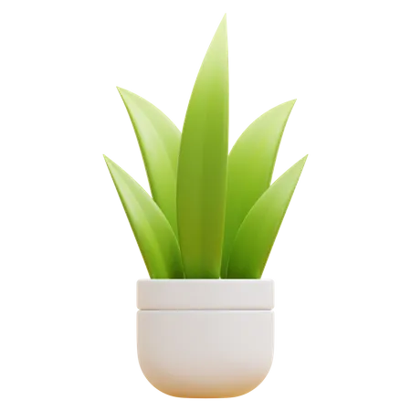 Plante au sol  3D Icon