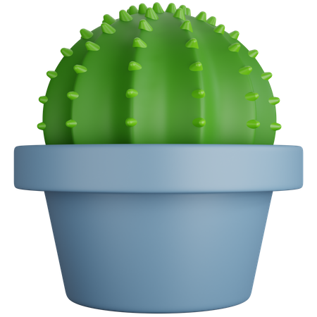 Plante de cactus ronde  3D Icon