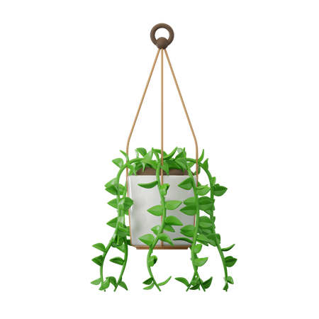 Plante charnue  3D Icon