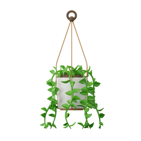 Plante charnue  3D Icon