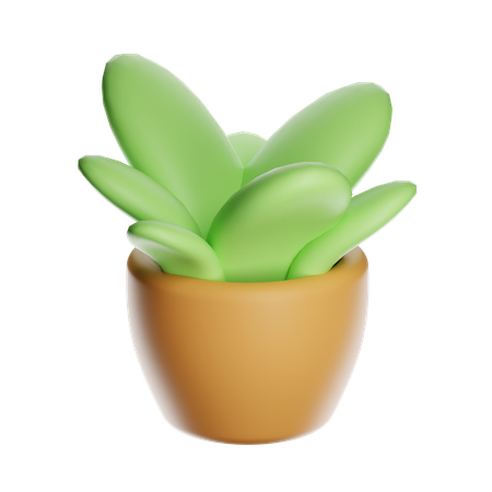 Plante d'intérieur  3D Icon