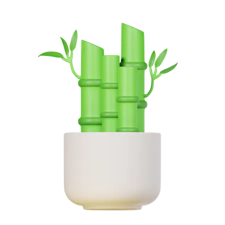 Plante de bambou porte-bonheur  3D Icon