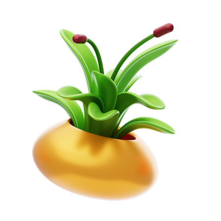Plante de bureau  3D Icon