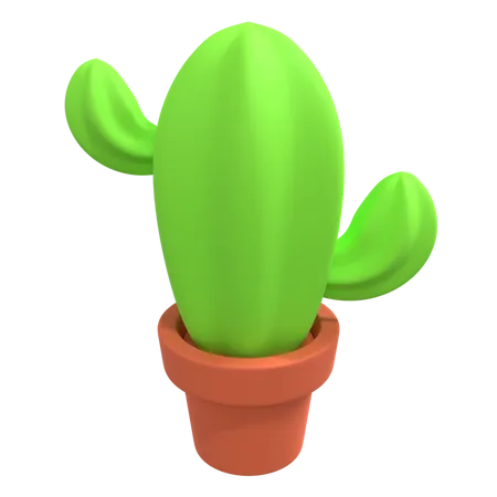 Plante de cactus  3D Illustration