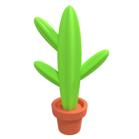 Plante de cactus  3D Illustration