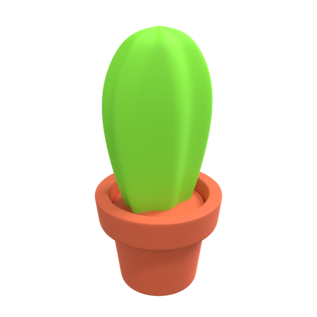 Plante de cactus  3D Illustration