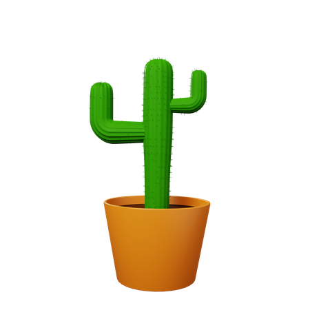 Plante de cactus  3D Illustration