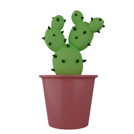 Plante de cactus  3D Illustration