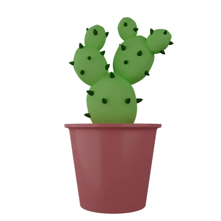 Plante de cactus  3D Illustration