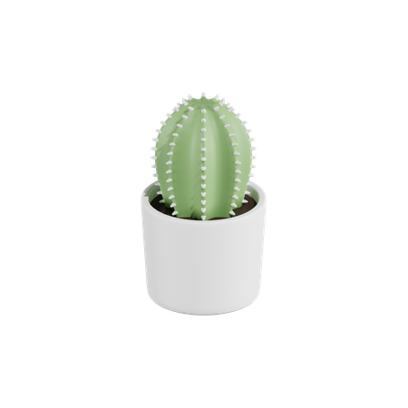 Plante de cactus  3D Icon