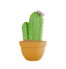 Plante de cactus