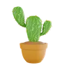 Plante de cactus