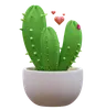 Plante de cactus