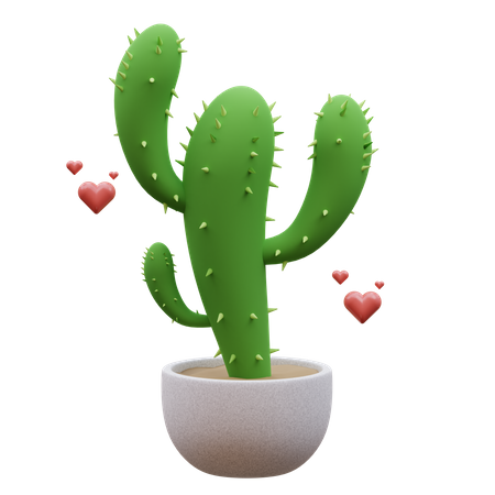 Plante de cactus  3D Icon