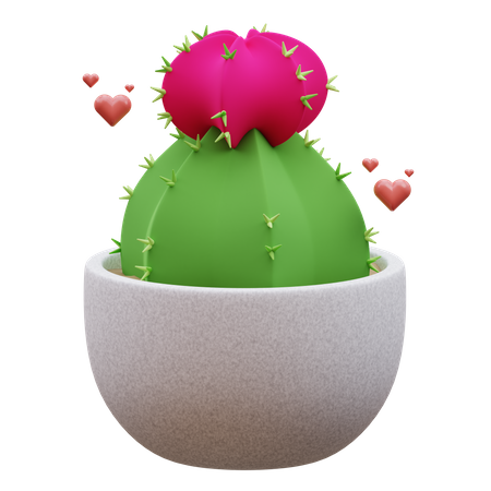 Plante de cactus  3D Icon