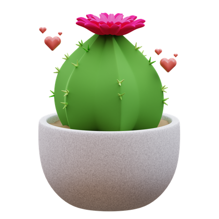 Plante de cactus  3D Icon