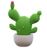 Plante de cactus