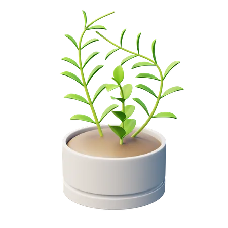 Plante à cire  3D Icon