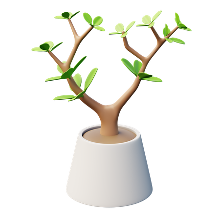 Plante de jade  3D Icon