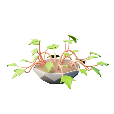 Plante de lierre anglais  3D Icon