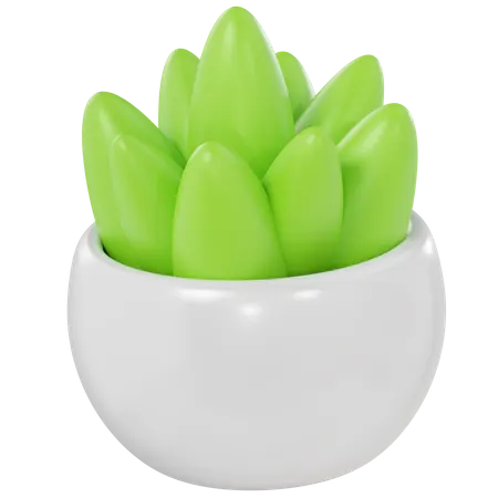 Plante de table  3D Icon